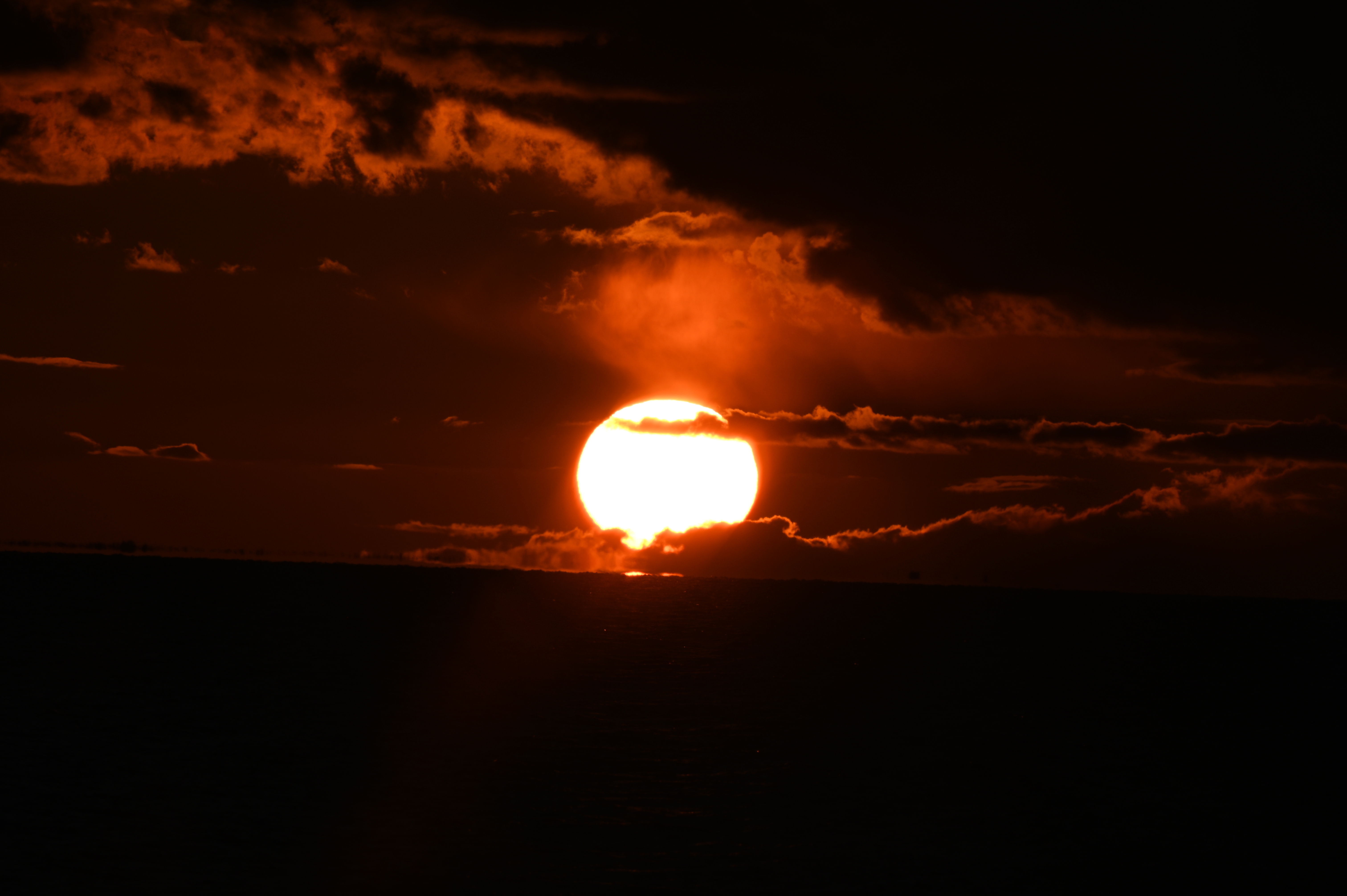 2025/10/18 - walk/DSC_0464.JPG